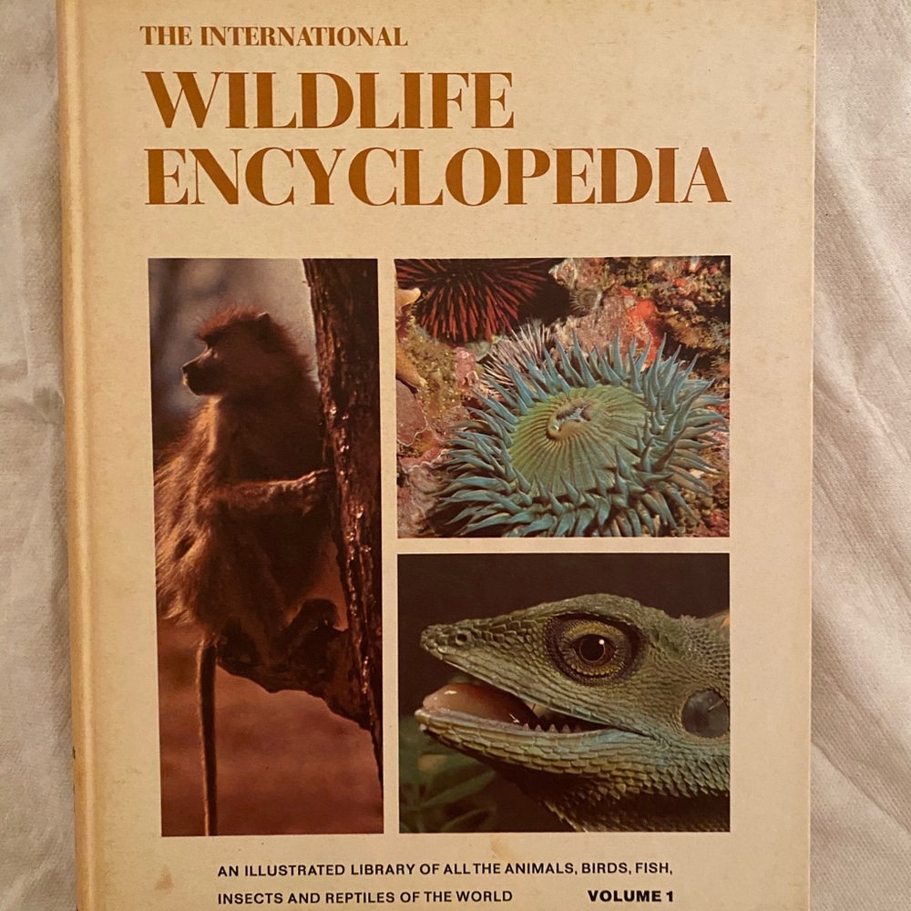 WILDLIFE ENCYCLOPEDIA 1960s